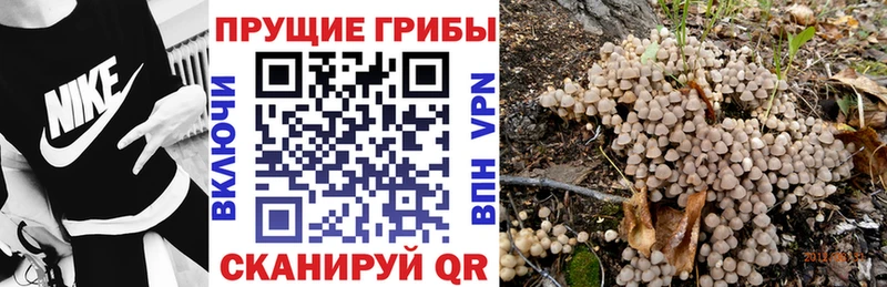 Псилоцибиновые грибы MAGIC MUSHROOMS  Исилькуль 